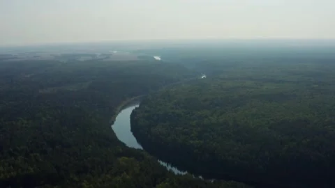 Aerial view of the river in the forest Stock Footage 217271639
