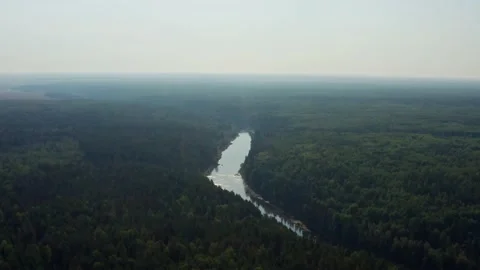 Aerial view of the river in the forest Stock Footage 217271999