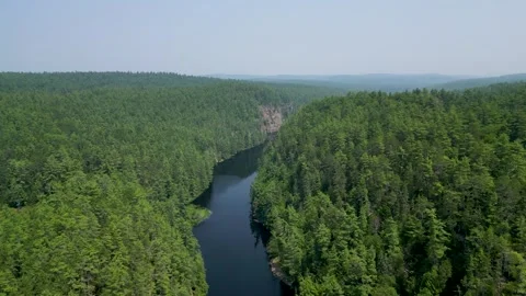 Aerial View of a river in the forest Stock Footage 266300519