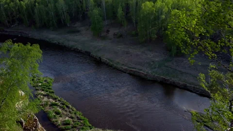 Aerial View of a River in a Forest Stock Footage 275203412