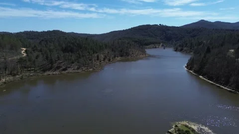 Aerial view of a river in the forest Stock Footage 328615617