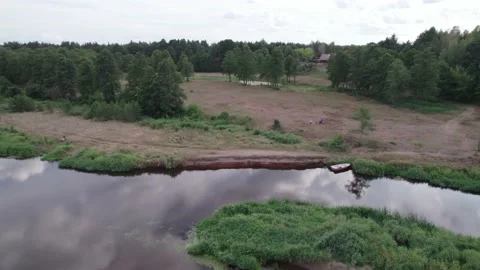 Aerial view of the river in the forest. Narwa river, Poland. 4K Stock Footage 205322329