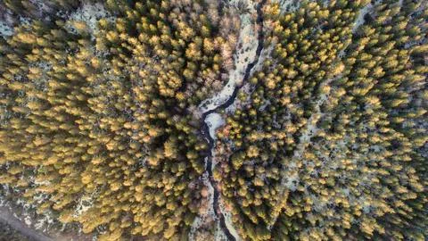 Aerial view of a river in the forest with snow along the banks. Stock Photos