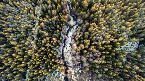 Aerial view of a river in the forest with snow along the banks. Stock Photos