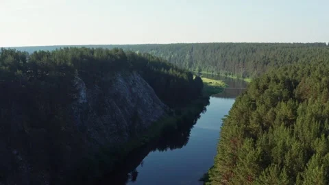 Aerial view of the river in the forest in summer Stock Footage 300002153