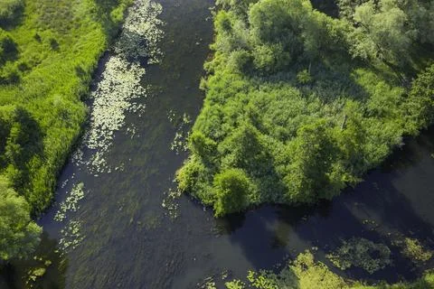 Aerial view of a river fork Stock Photos