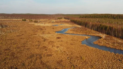 Aerial view of the river in the form of a snake in the field. Stock Footage 107498700