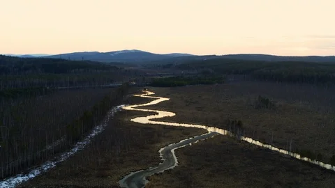 Aerial view of the river in the form of a snake in the field. Video stock 108051592