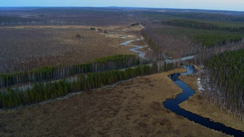 Aerial view of the river in the form of a snake in the field. Stock Footage 108121105