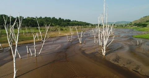 Aerial view of a river in grass land Stock Footage 93217439