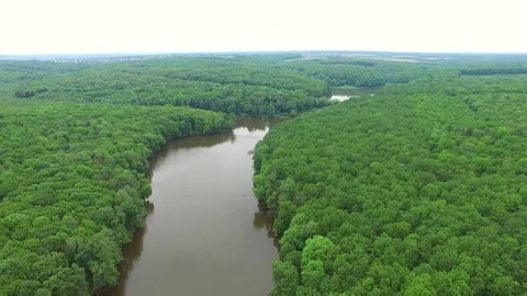 Aerial view the river on green forest plain Stock Footage 71573400