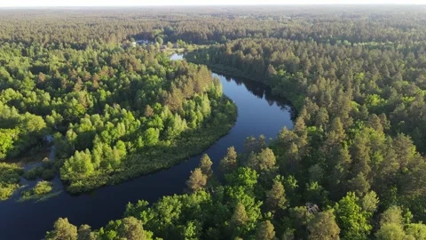 Aerial view of the river landscape and forest Stock Footage 199985218