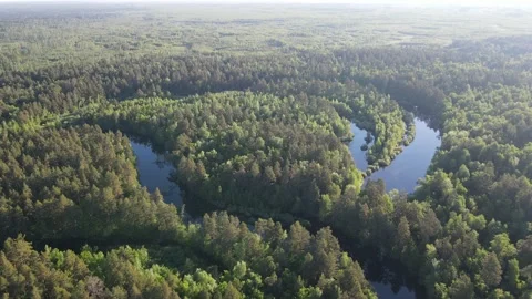 Aerial view of the river landscape Stock Footage 199986177