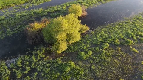 Aerial view of the river landscape Stock Footage 199995094