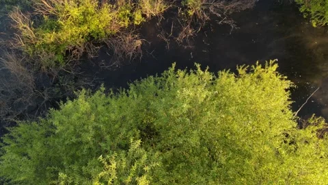 Aerial view of the river landscape Stock Footage 199995752