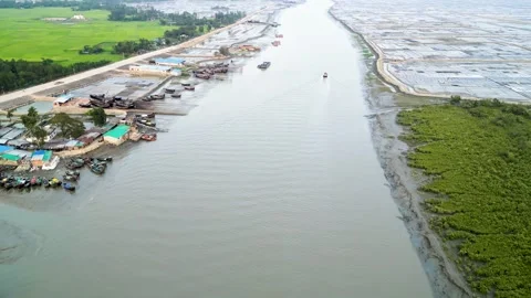 Aerial view of a river on the left side, with green rice fields and a salt farm  Stock Footage 273629943