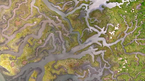 Aerial view of river marsh patterns, United Kingdom. Stock Footage 345230753