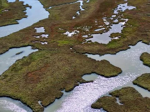 Aerial view of river marsh Stock Photos
