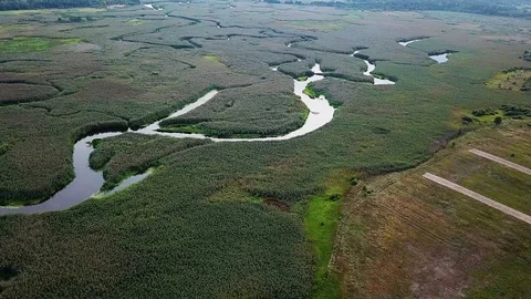 Aerial view of river in the marshland Stock-Footage 106350748