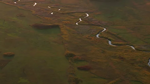 Aerial view of River in Park zone Video stock 255601216