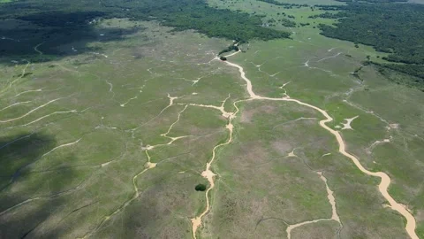 Aerial view of river patterns in green landscape Stock Footage 330516863