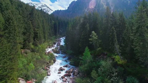 Aerial view of a river in the pine forests in the mountains of Austria. Stock Footage 87331950