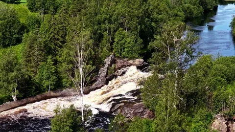 Aerial view of river rapids in a lush forest, Norway. Vidéo 344990396