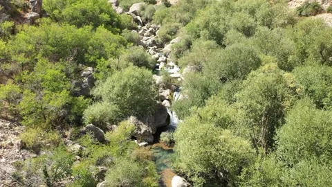 Aerial view of river rocks and trees 3 Stock Footage 294065487