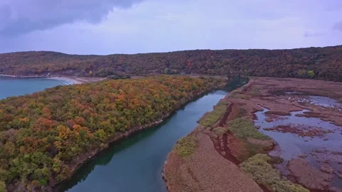 Aerial view on a river Ropotamo which flows into the Black sea 스톡 동영상 287117053