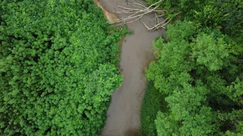 Aerial view of a river running through the woods in Brazil Stock Footage 239578738