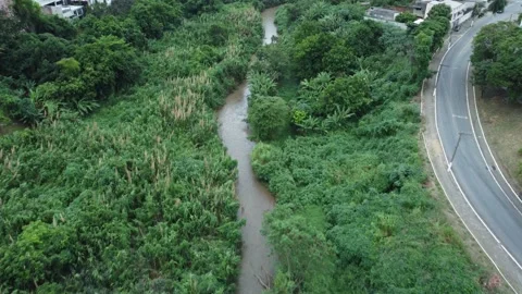Aerial view of a river running through the woods in Brazil Stock Footage 239579110