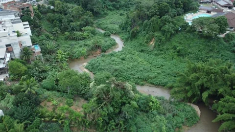 Aerial view of a river running through the woods in Brazil Stock Footage 239579138