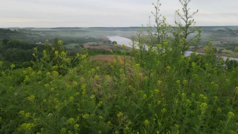 Aerial view of the river shoreline riverbed landscape Stock Footage 199975963