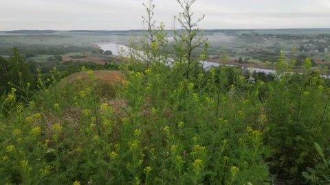 Aerial view of the river shoreline riverbed landscape Stock Footage 199975976
