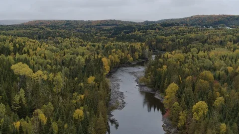 Aerial view of river with some changing leaves in Northern Maine. Stock Footage 97129251