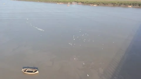 Aerial view of river surface with birds and soft shadow reflection in Surat Stock Footage 332670812
