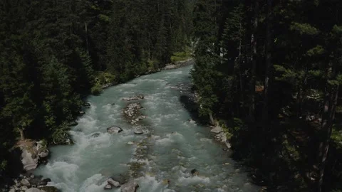 Aerial view of a river surrounded by green trees in the mountains Stock Footage 171931205