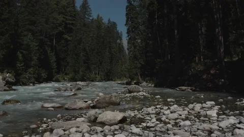 Aerial view of a river surrounded by green trees in the mountains Stock Footage 172014965