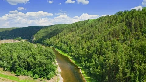 Aerial view of river surrounded by green forest and mountains Video stock 260323143