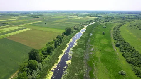 Aerial view of river surrounded with green agricultural fields Stock Footage 263139386