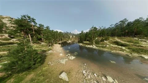 Aerial View of River Surrounded by Trees Ilustração Stock