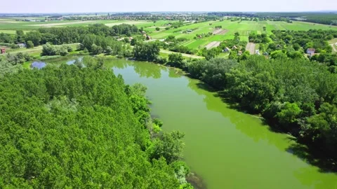 Aerial view of a river surrounded by woods and agricultural fields Video stock 258610034