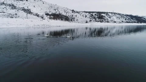 Aerial view of a river with swans floating on it and of a big hill which is u Video stock 134698256