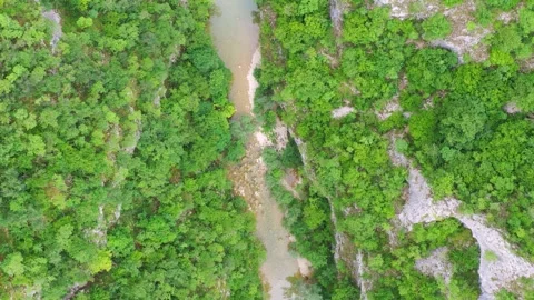 Aerial view of river through dense forest, Bosnia and Herzegovina Stock Footage 324524594