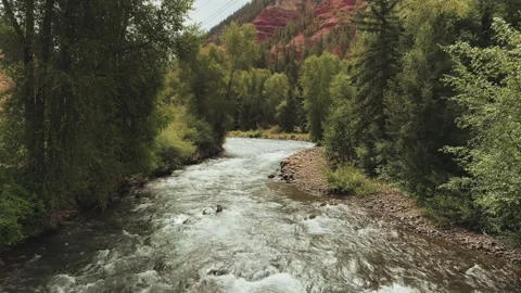 Aerial view of a river through a forest in summer Stock Footage 154887827