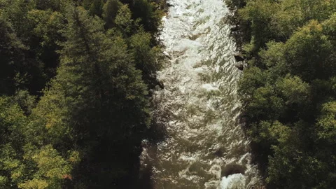 Aerial view of a river through a forest in summer Stock Footage 154891686
