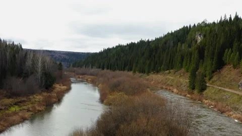 Aerial view of the river with trees and grass in autumn 動画素材 146473624