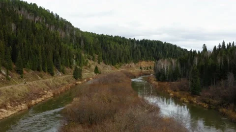 Aerial view of the river with trees and grass in autumn 스톡 동영상 146788199