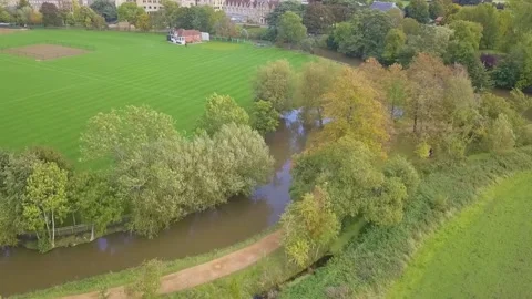 Aerial view of a River with Trees, Drone Footage, HD, 25F Stock Footage 170773696