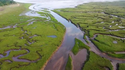Aerial view of river tyne salt marsh and meandering patterns, United Kingdom. Stock Footage 289736038